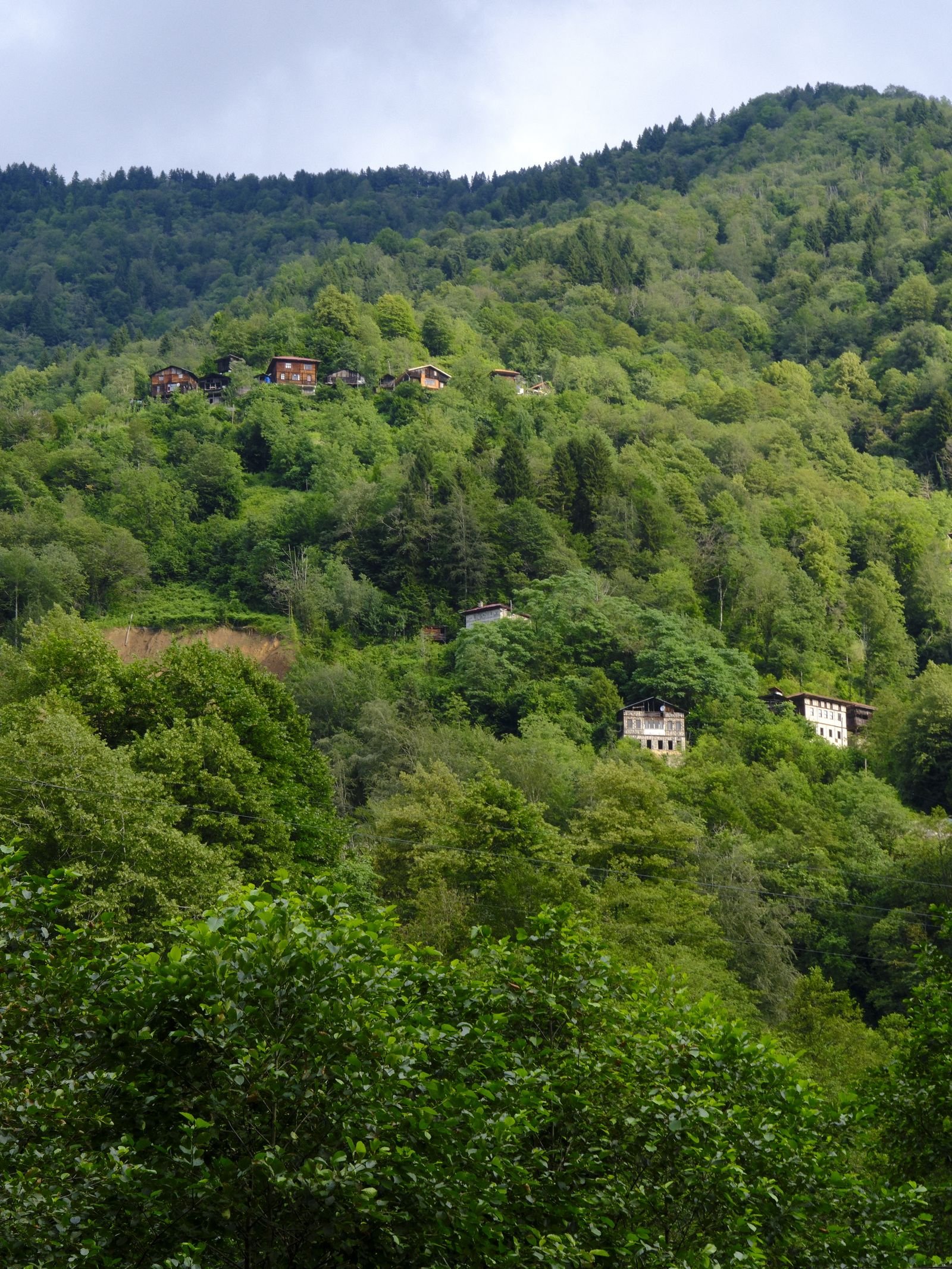 Timber barn on a hillside surrounded by conifer forest