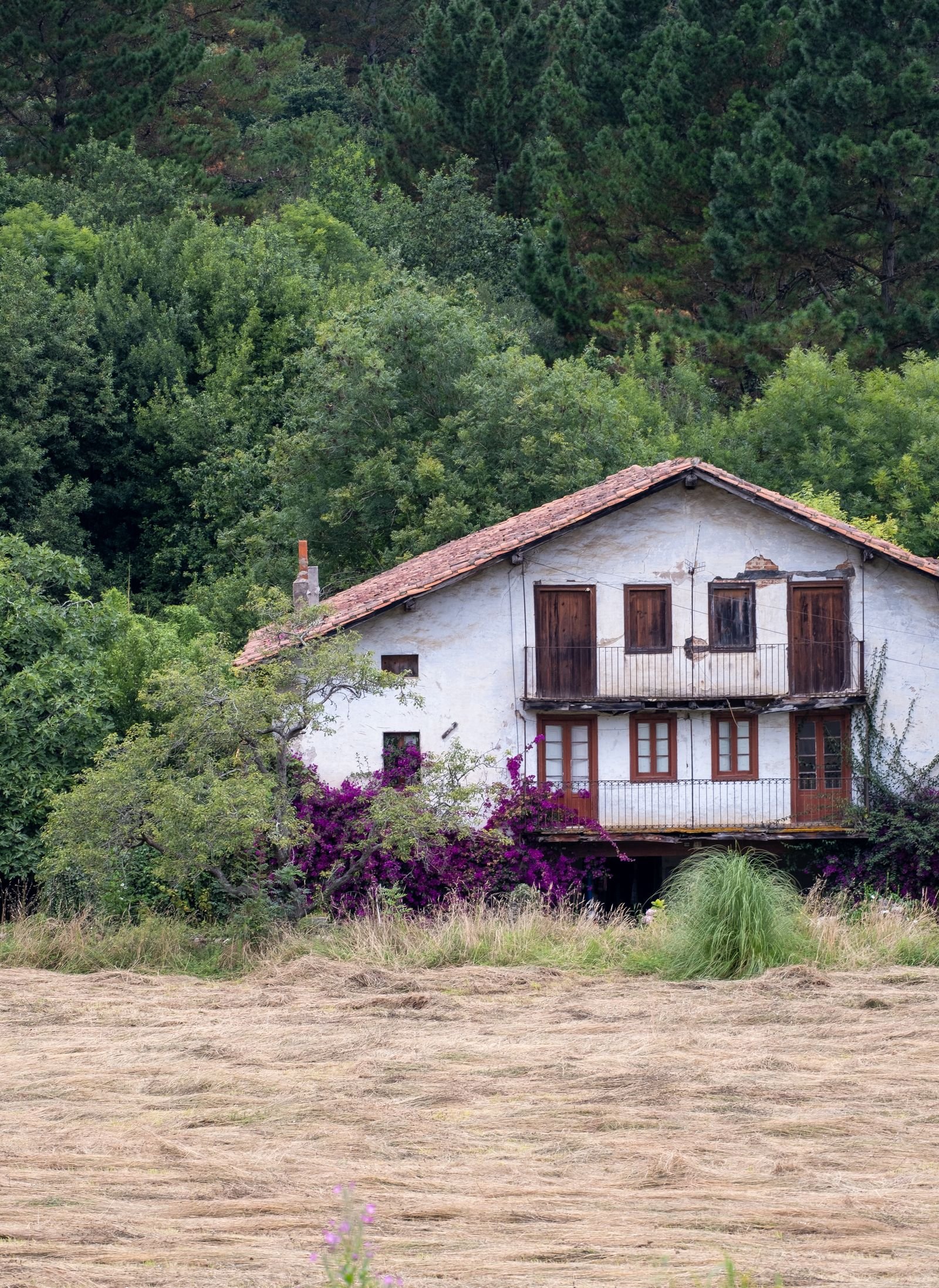 House set against a steep forested hillside
