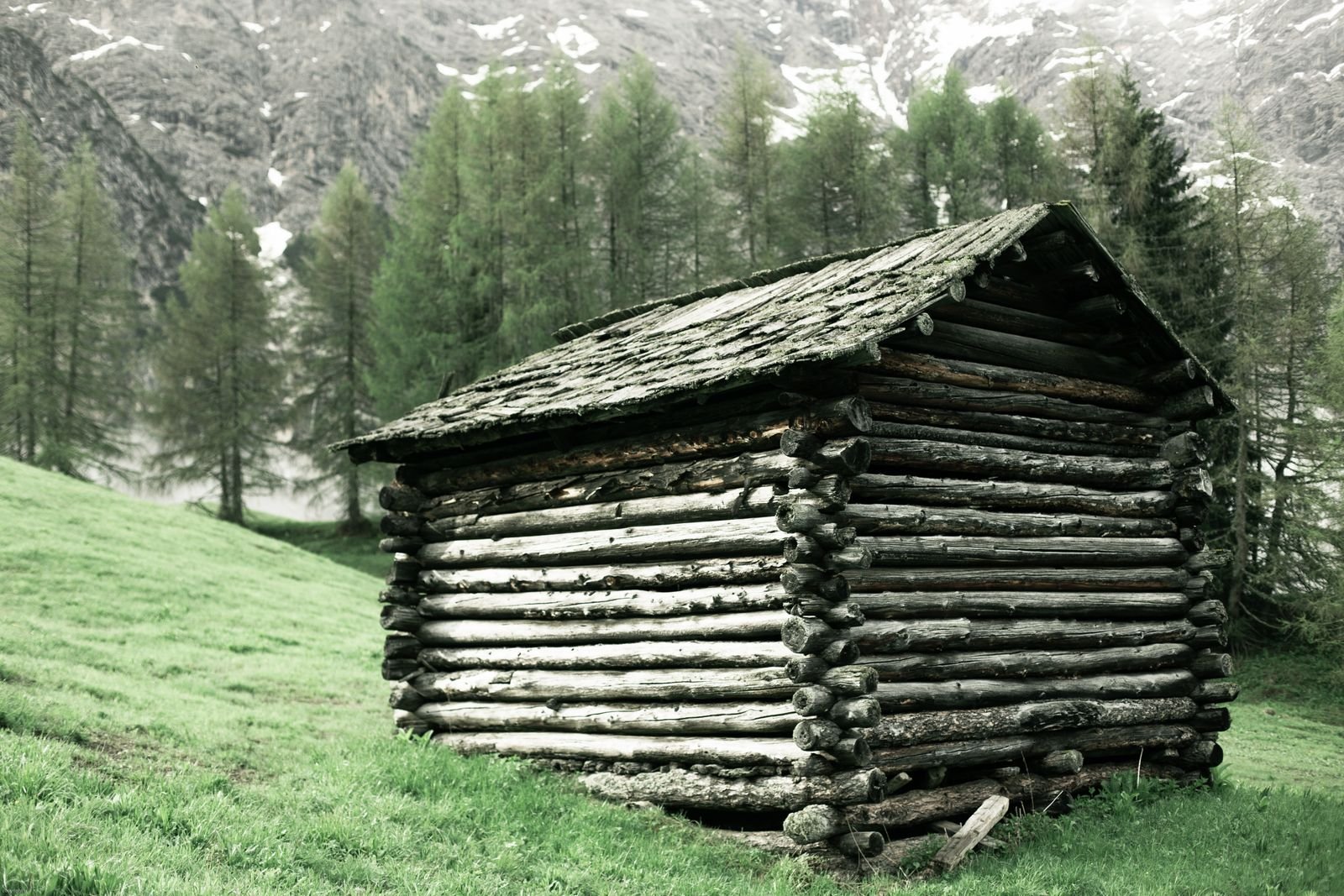 Log outbuilding on a grass slope below a treeline