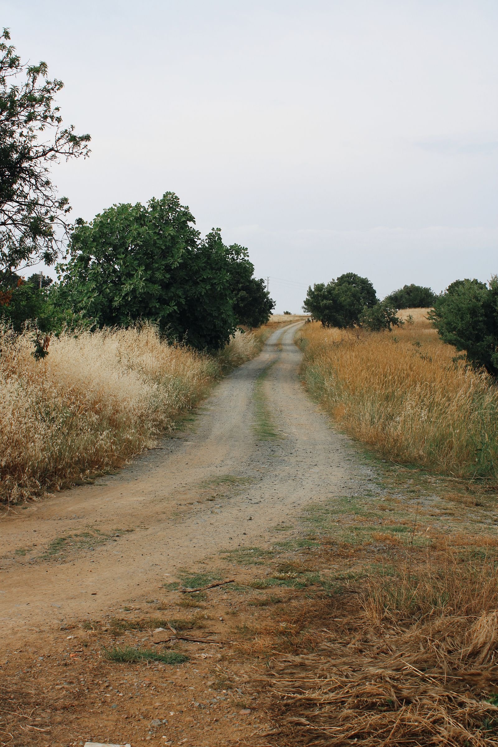 Gravel road running through open ground toward a mountain range