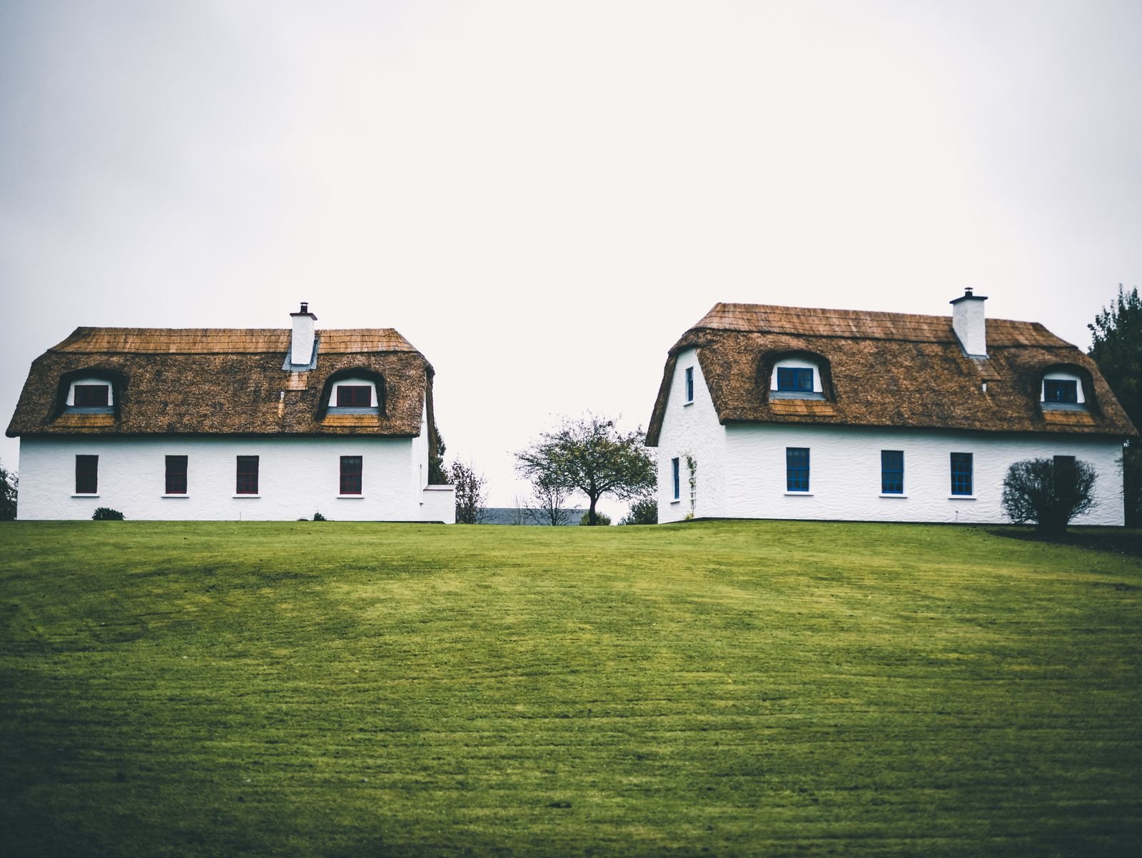 White farm buildings on open green pasture